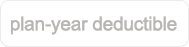 plan year deductible