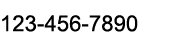 123 456 7890